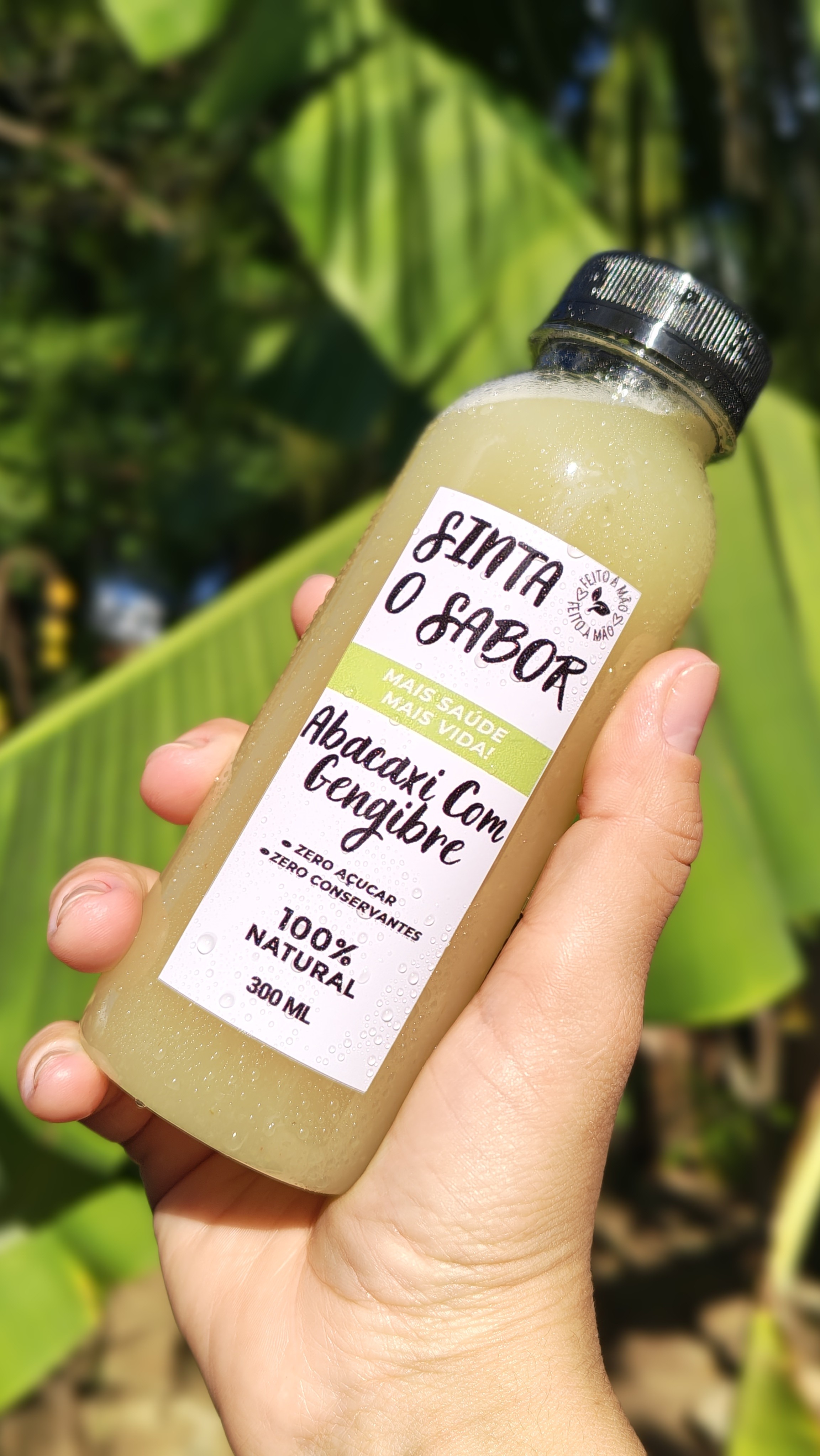 Suco de Abacaxi com Gengibre